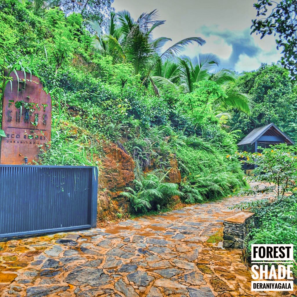Entrance Forest Shade Eco Resort Deraniyagala