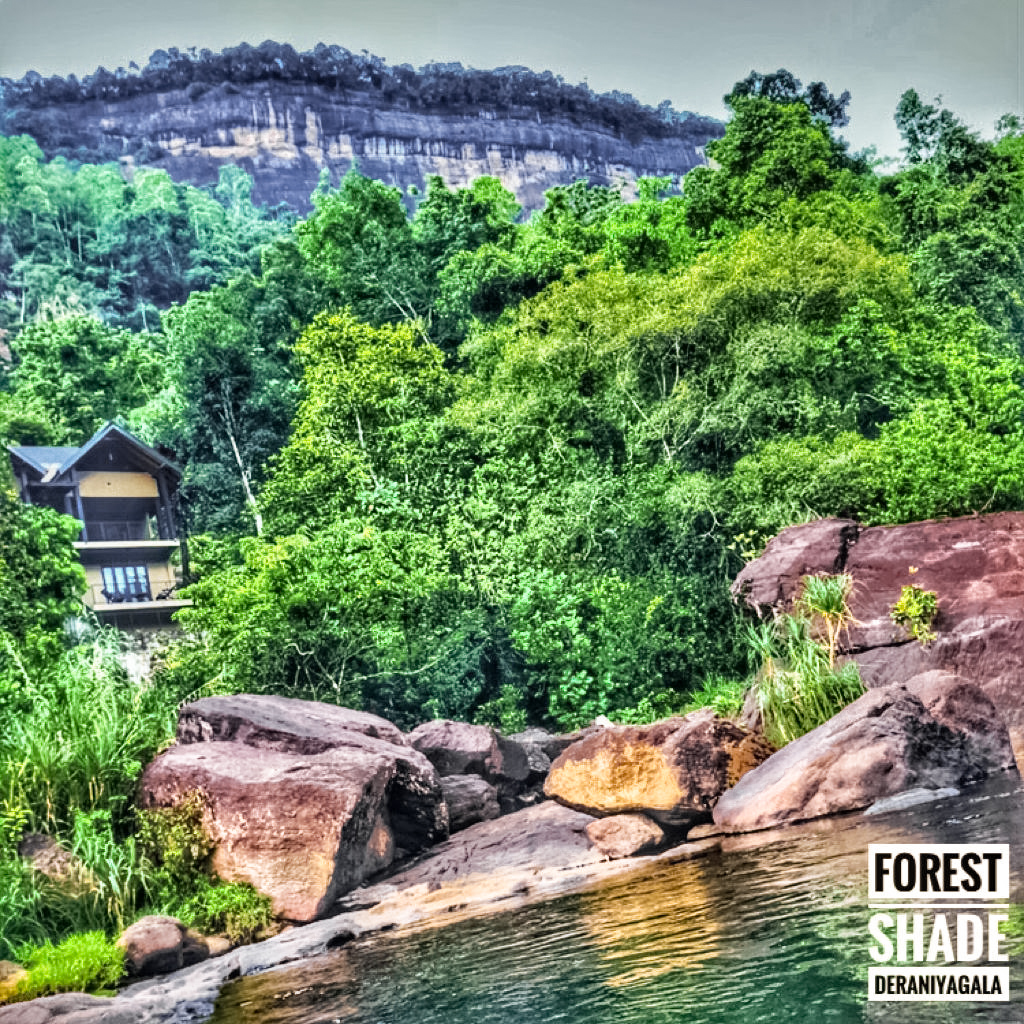 Forest Shade Eco Resort Deraniyagala