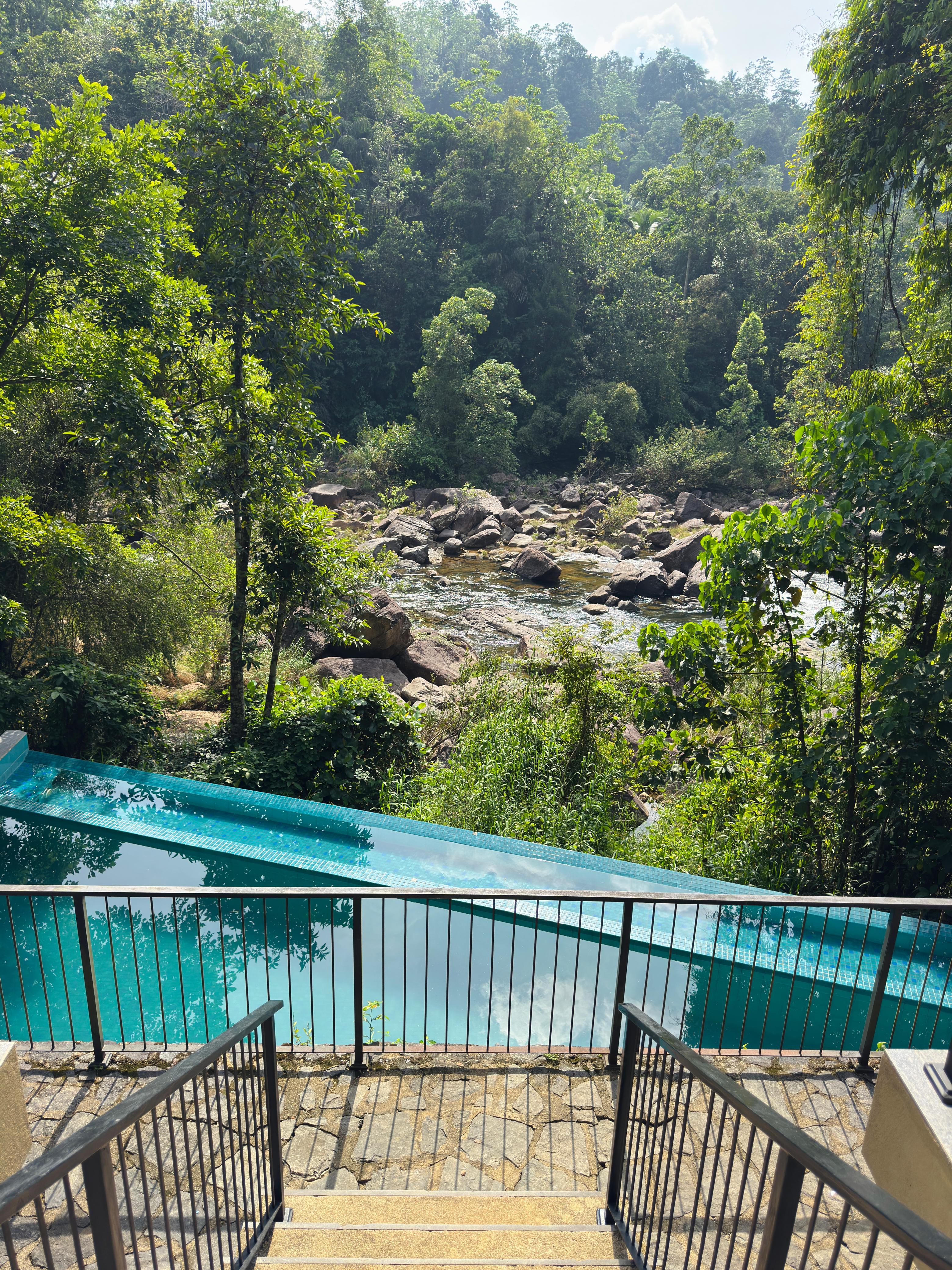 Infinity Pool Forest Shade Eco Resort Deraniyagala