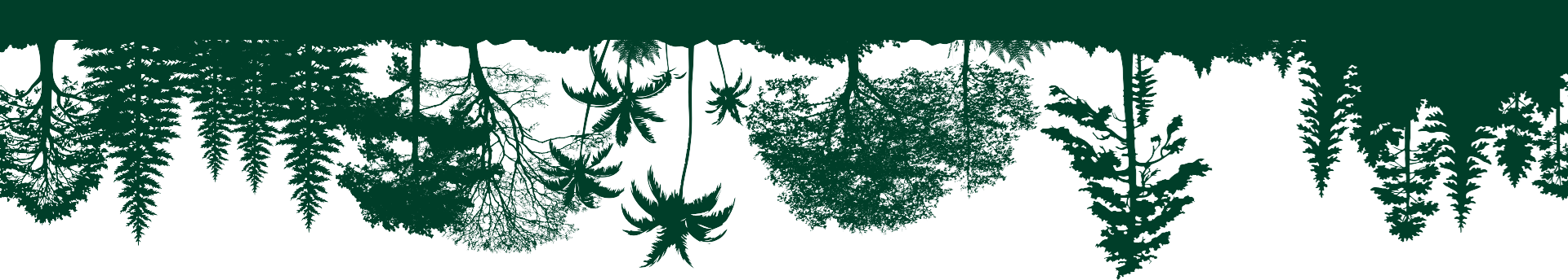 Forest Shade Eco Resort