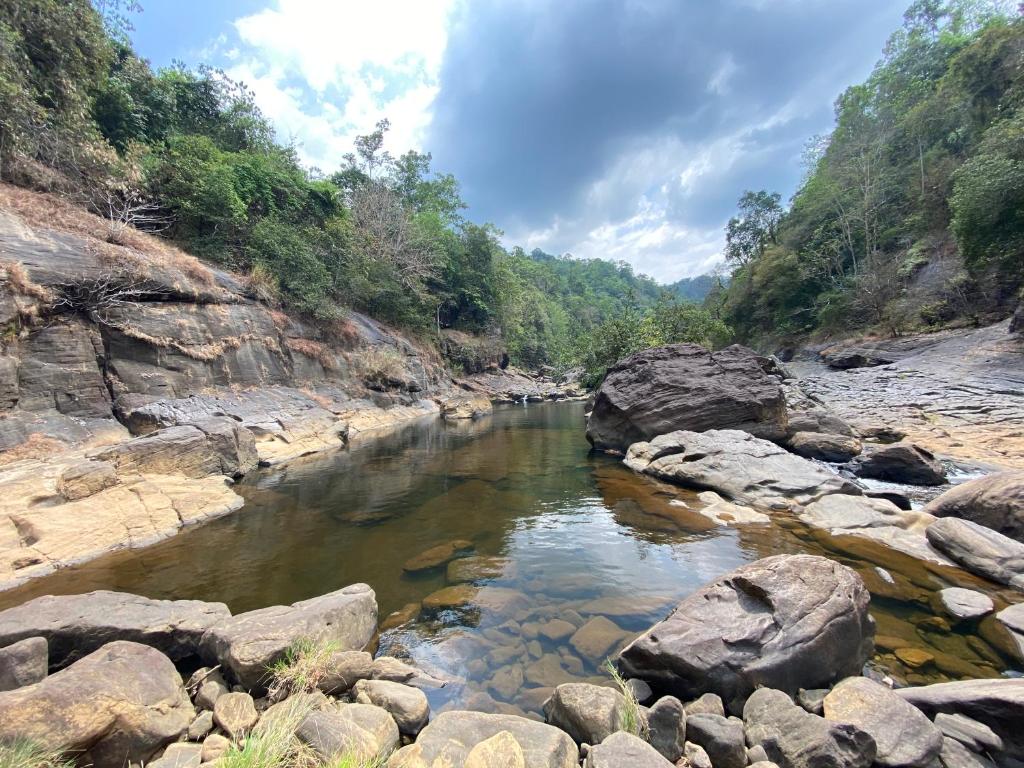 Family Rooms Forest Shade Eco Resort Deraniyagala