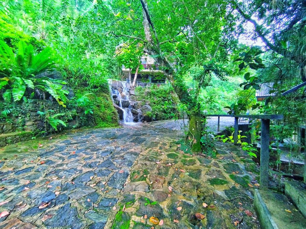 Family Rooms Forest Shade Eco Resort Deraniyagala