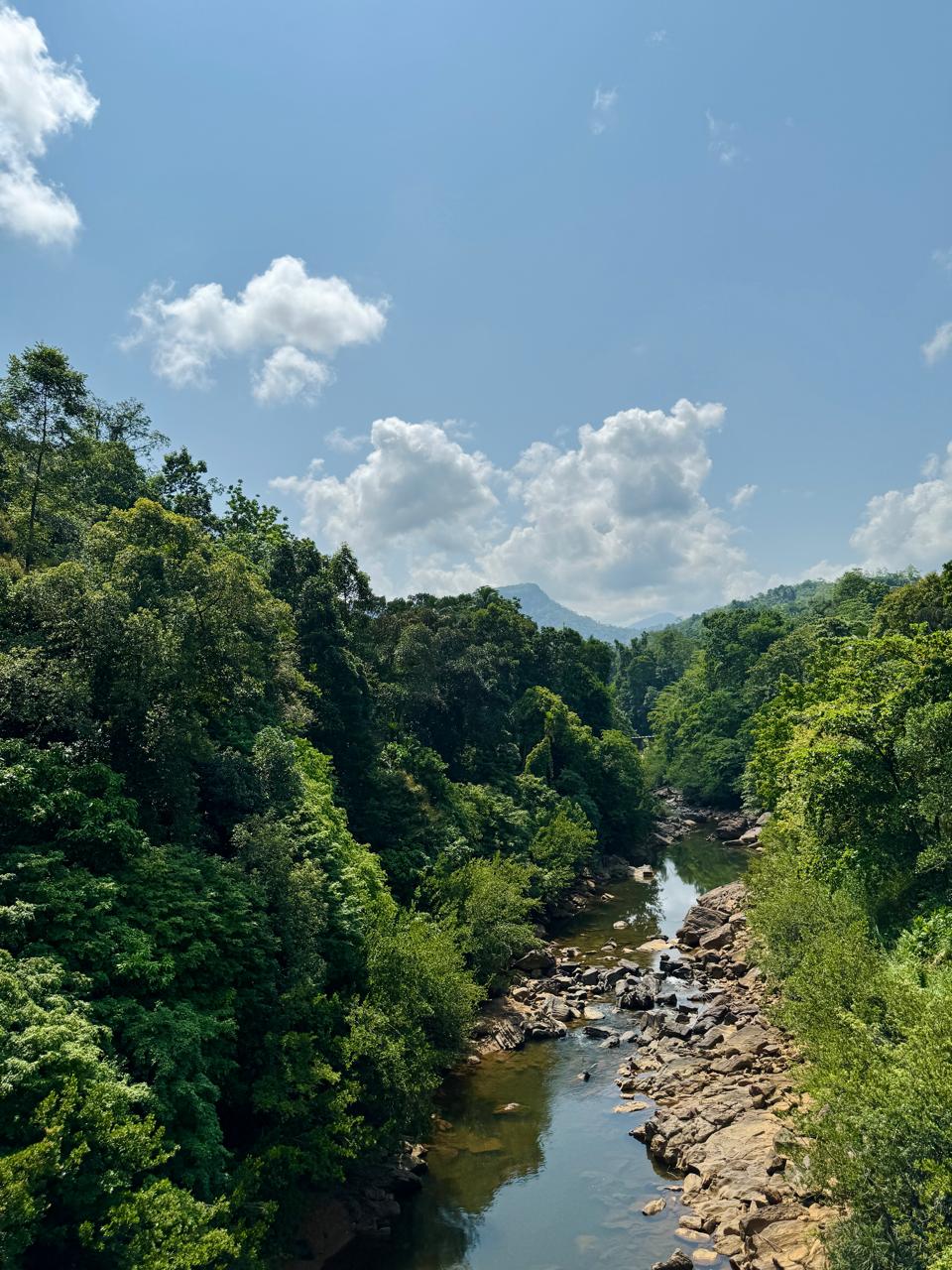 Family Rooms Forest Shade Eco Resort Deraniyagala