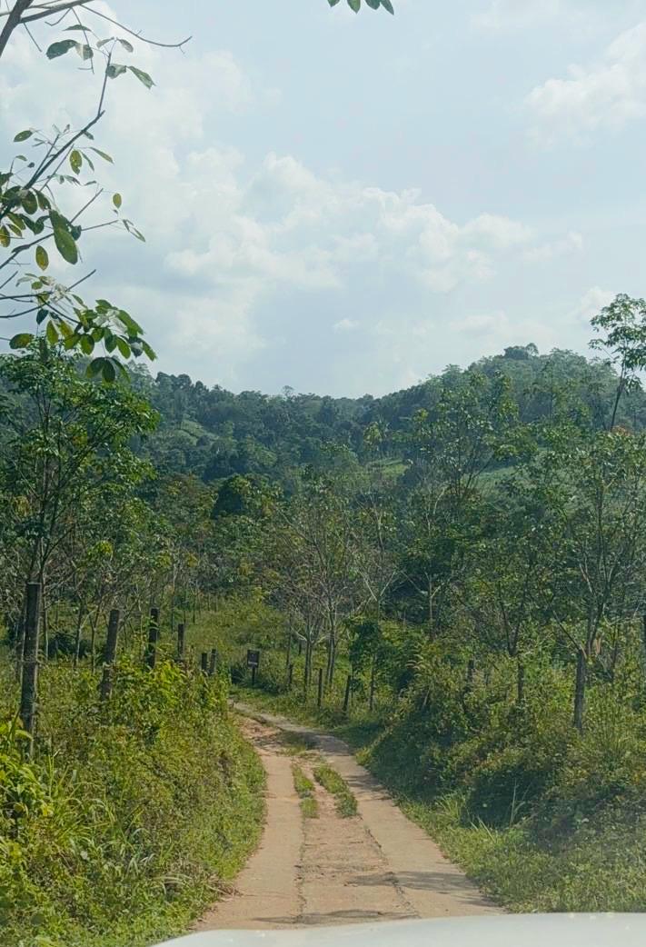 Guest car at Forest Shade